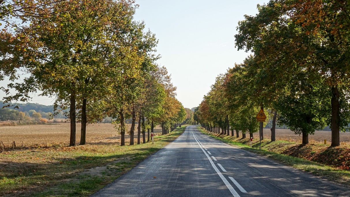 Jesienne krajobrazy za miastem - zdjęcie 78