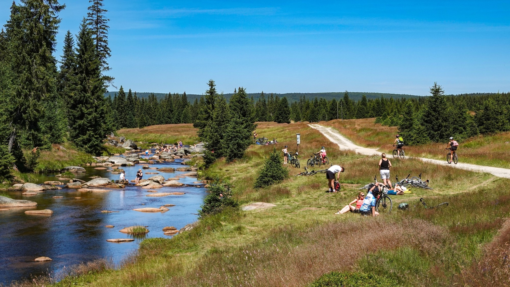 Środek lata w plenerze - zdjęcie 5