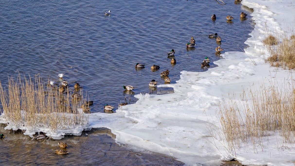 Luty w obiektywie - zdjęcie 4