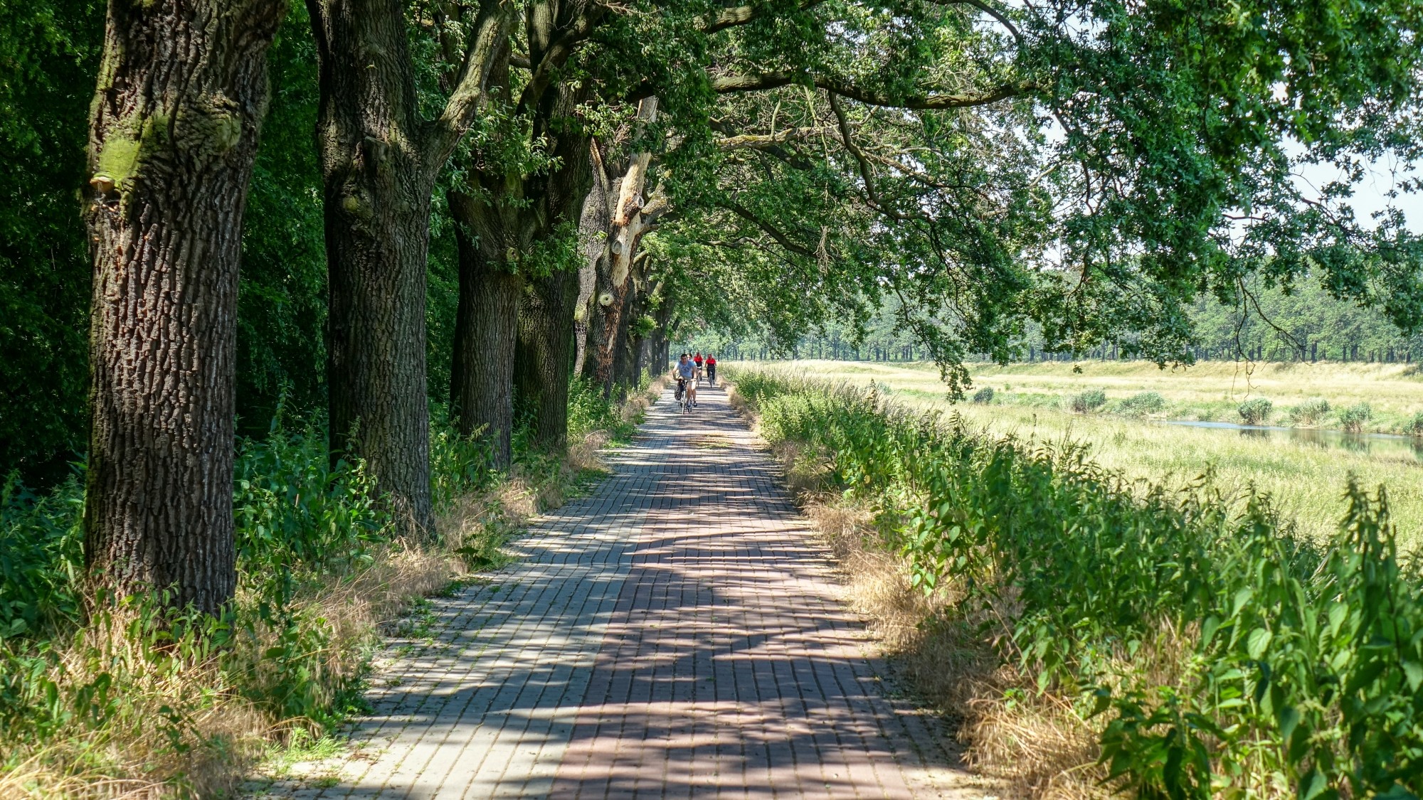 Polskie krajobrazy w 2019 roku - zdjęcie 23