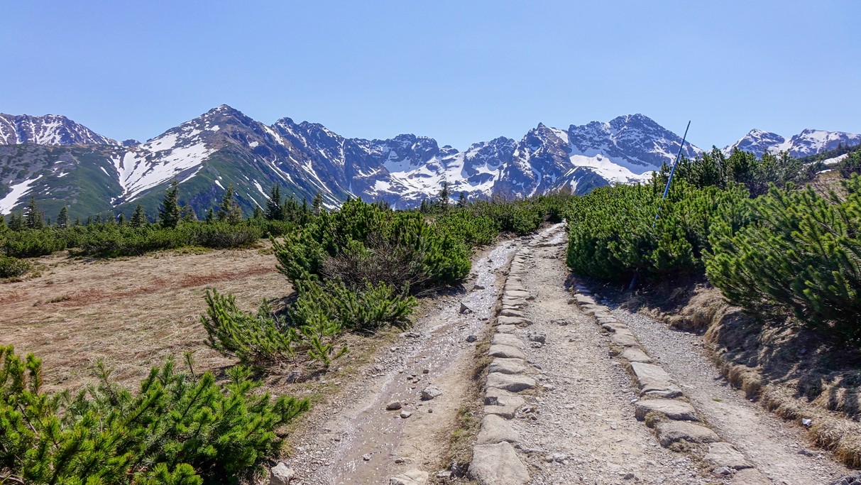 Kwiecień w obiektywie - zdjęcie 12