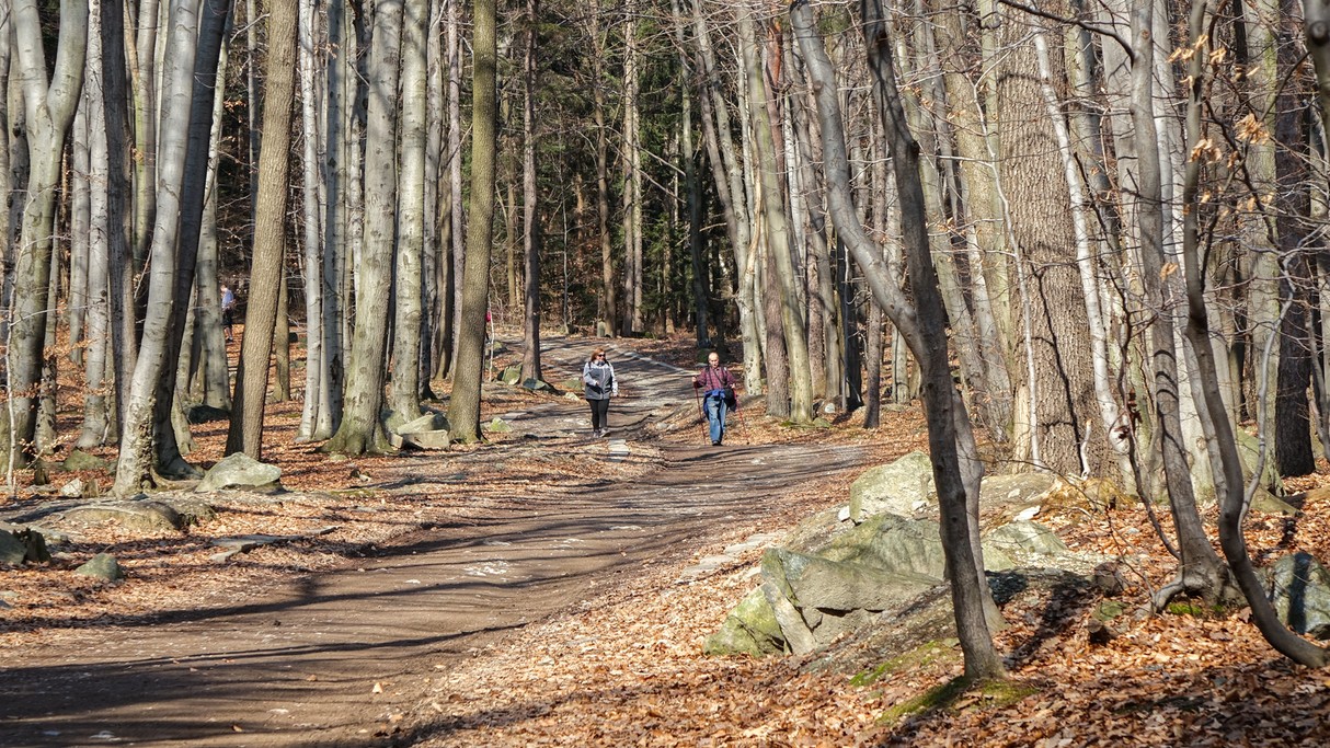 Piękno polskich krajobrazów - zdjęcie 40