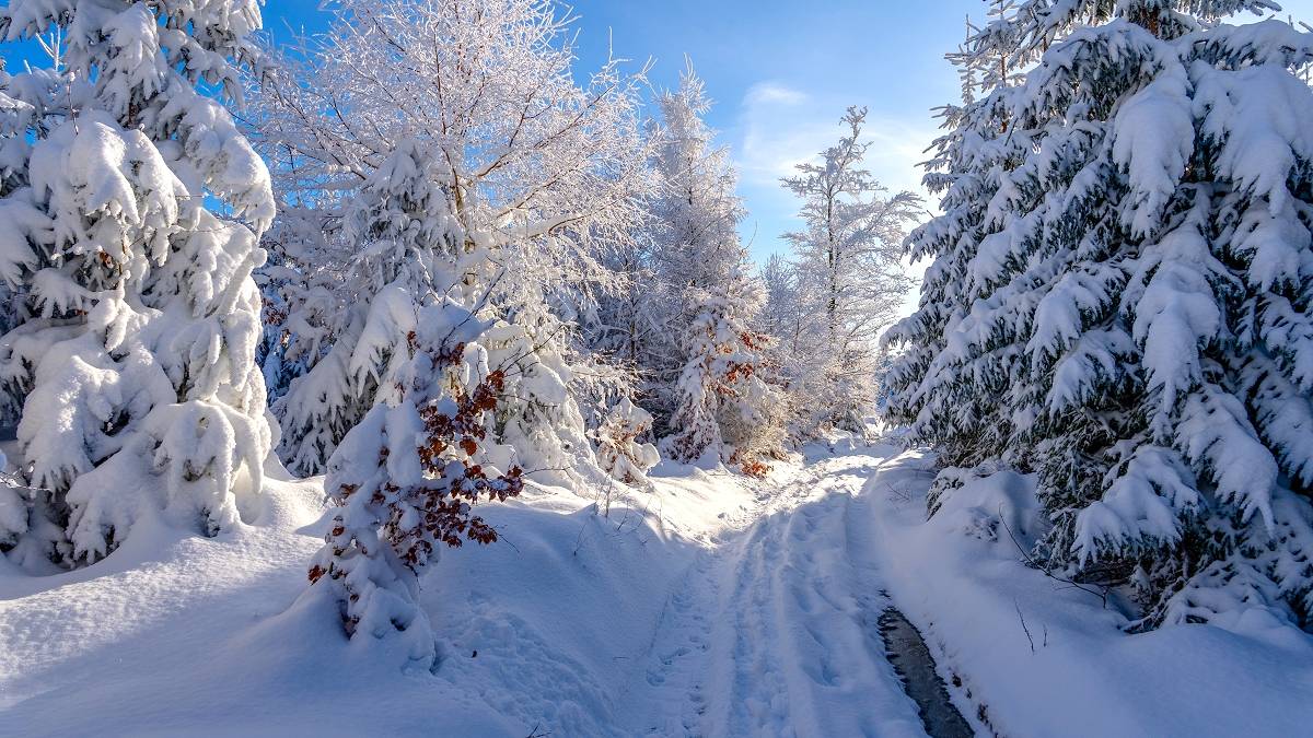 Kraina śniegu. Fot. TwojaPogoda.pl