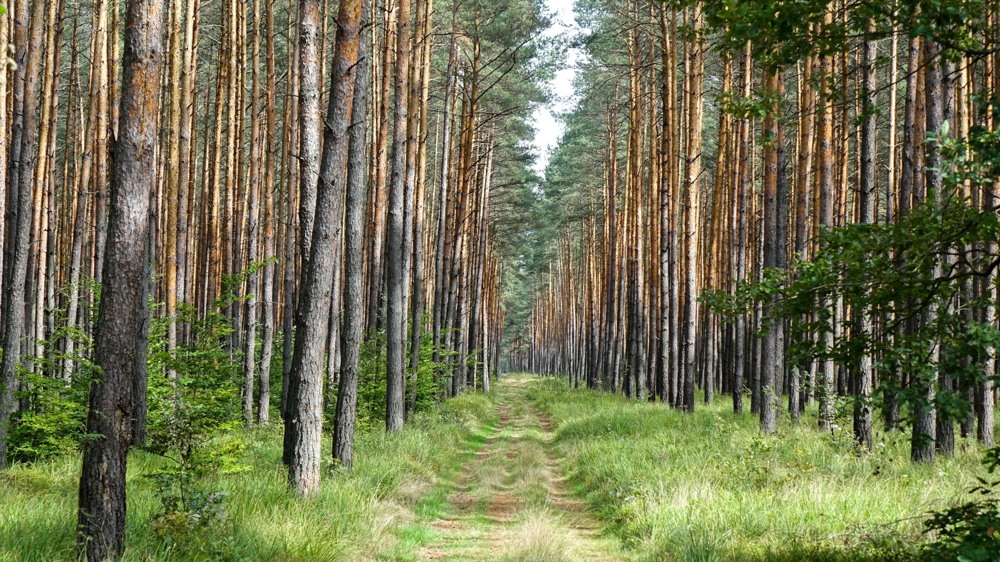 Wrzesień w obiektywie - zdjęcie 7