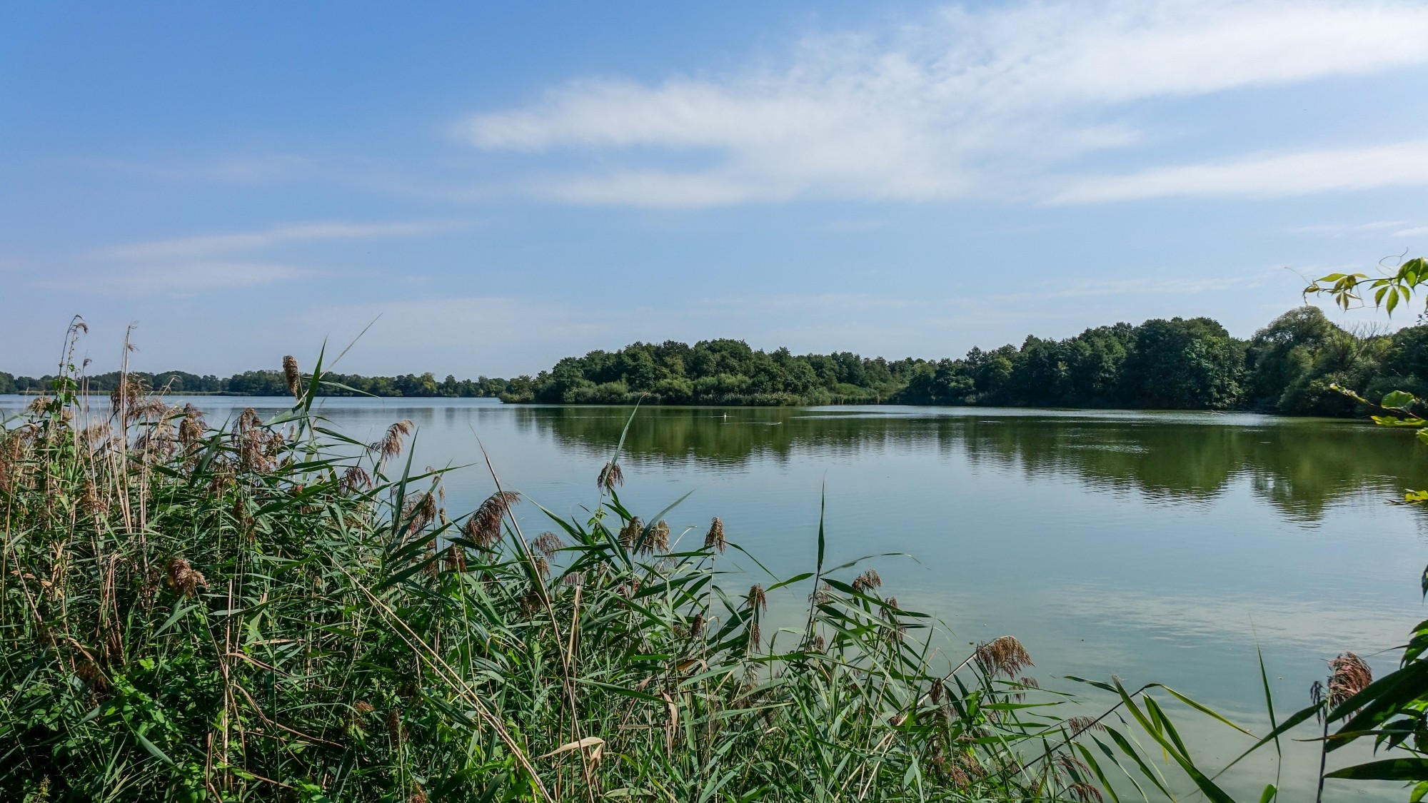 Późne lato na łonie natury - zdjęcie 21