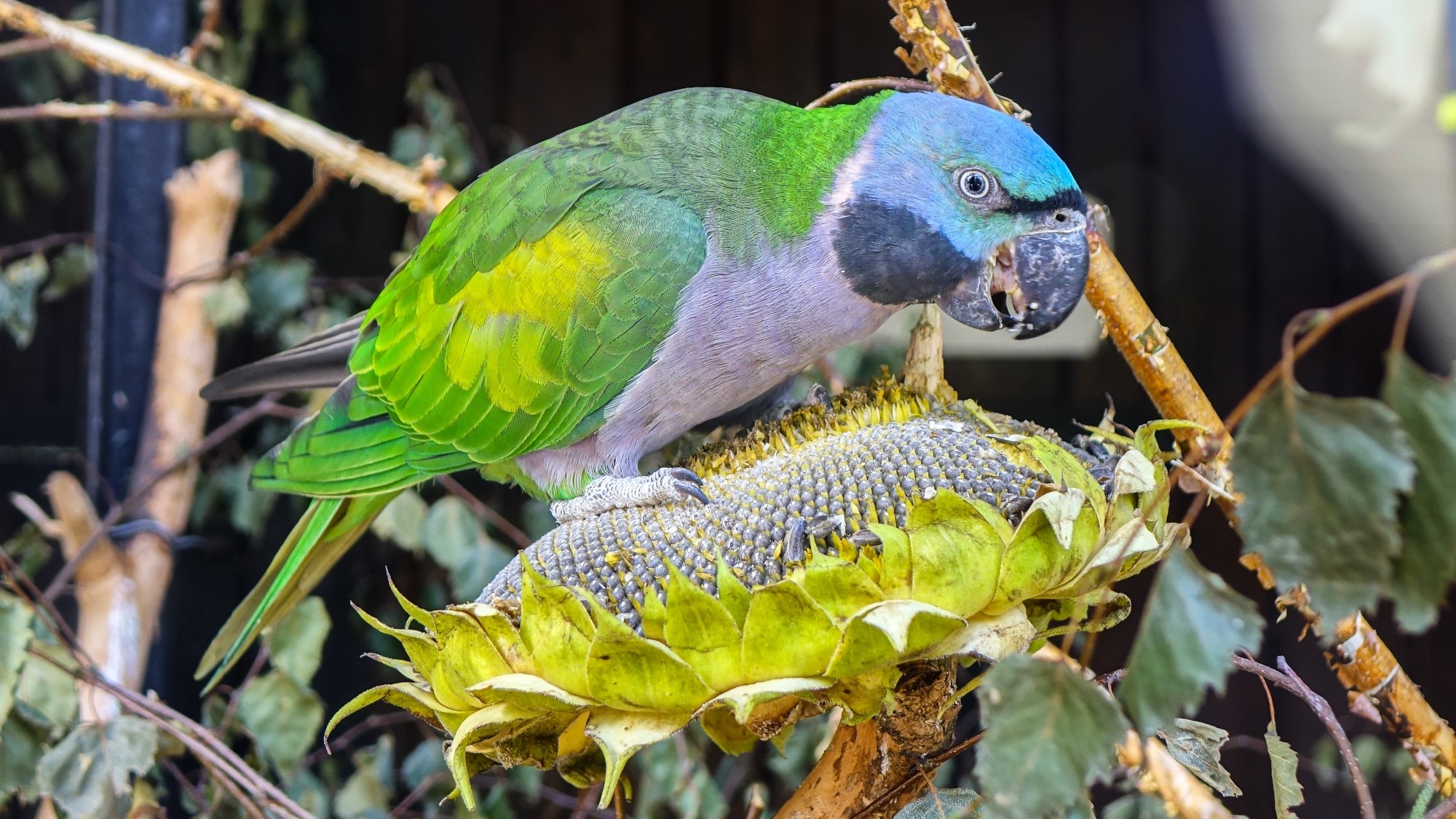 Z kamerą wśród zwierząt - zdjęcie 17