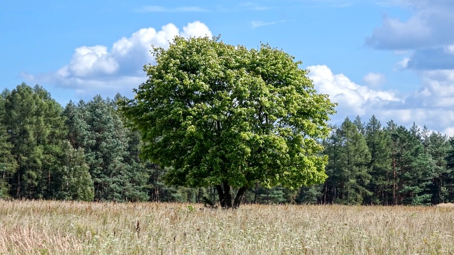 Fot. TwojaPogoda.pl