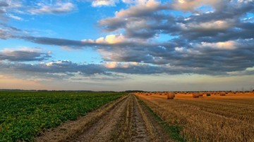 Polscy rolnicy nie mogą uprawiać swoich pól. Litwa rozważy złagodzenie obostrzeń