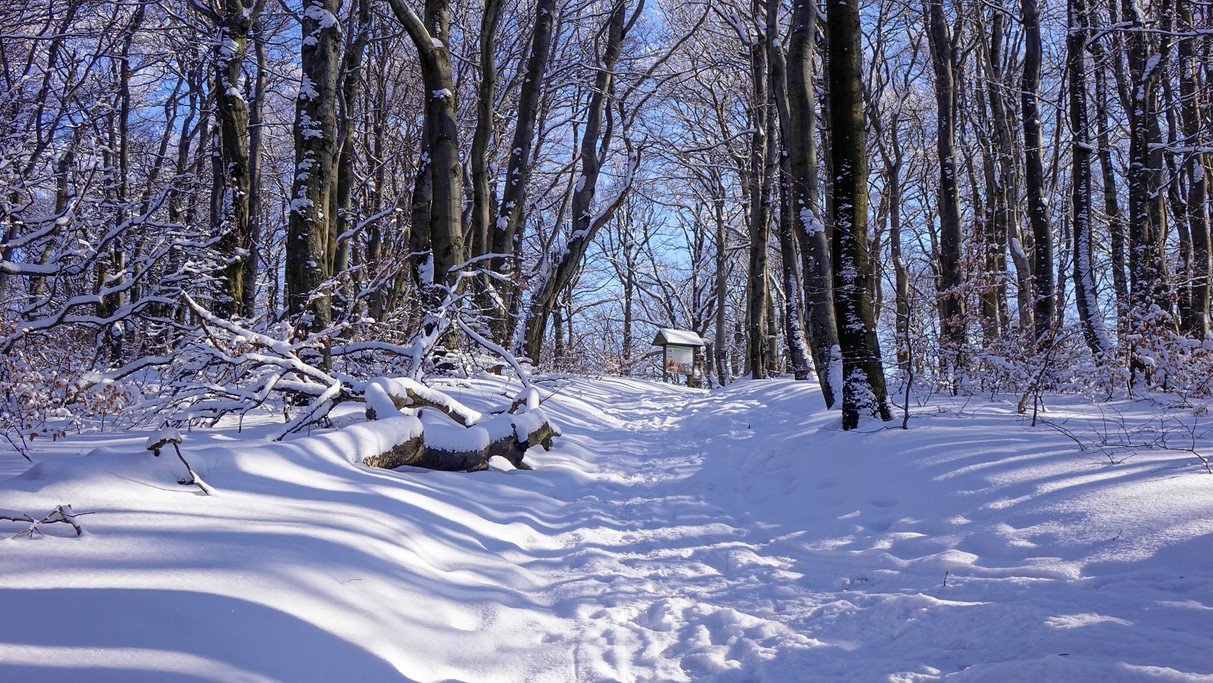 Luty w obiektywie - zdjęcie 30