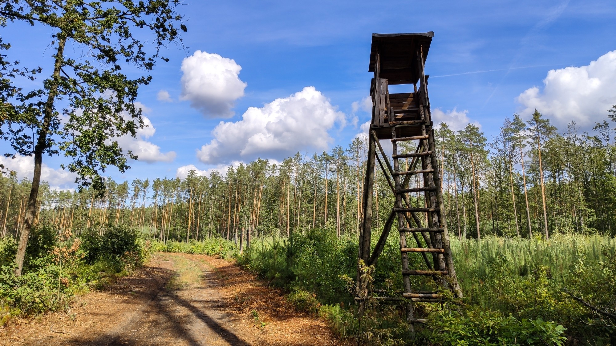 Całe piękno polskiej prowincji - zdjęcie 73