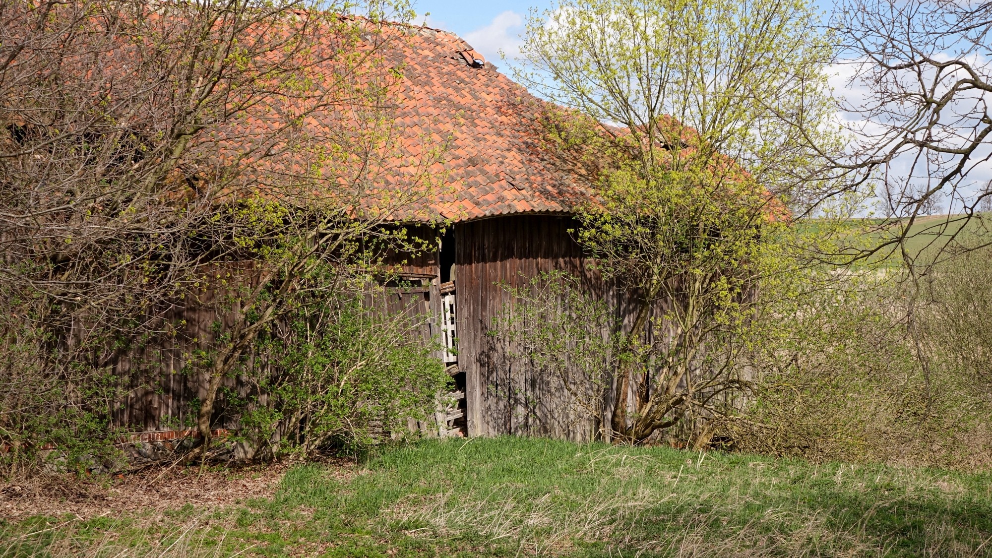 Mazury wiosną - zdjęcie 26