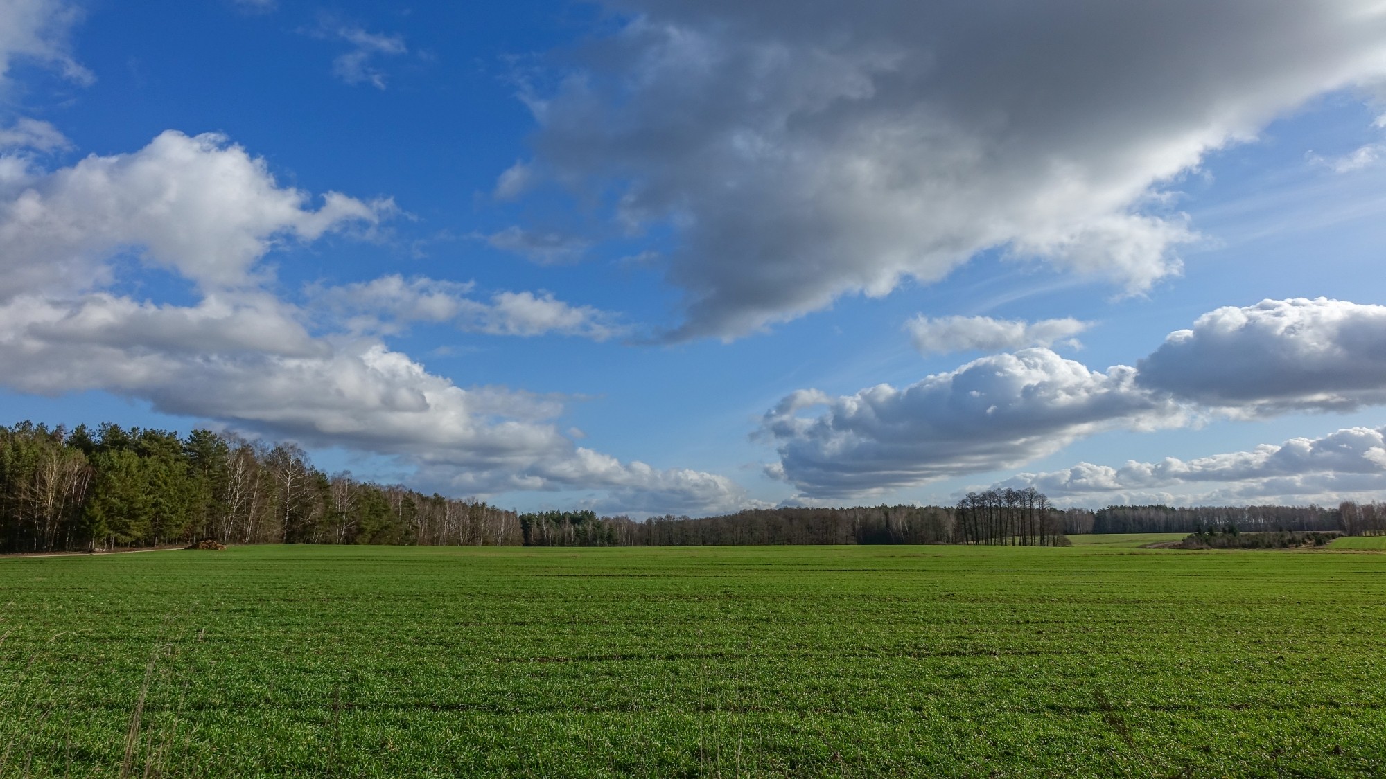 Najcieplejsza zima w historii - zdjęcie 19