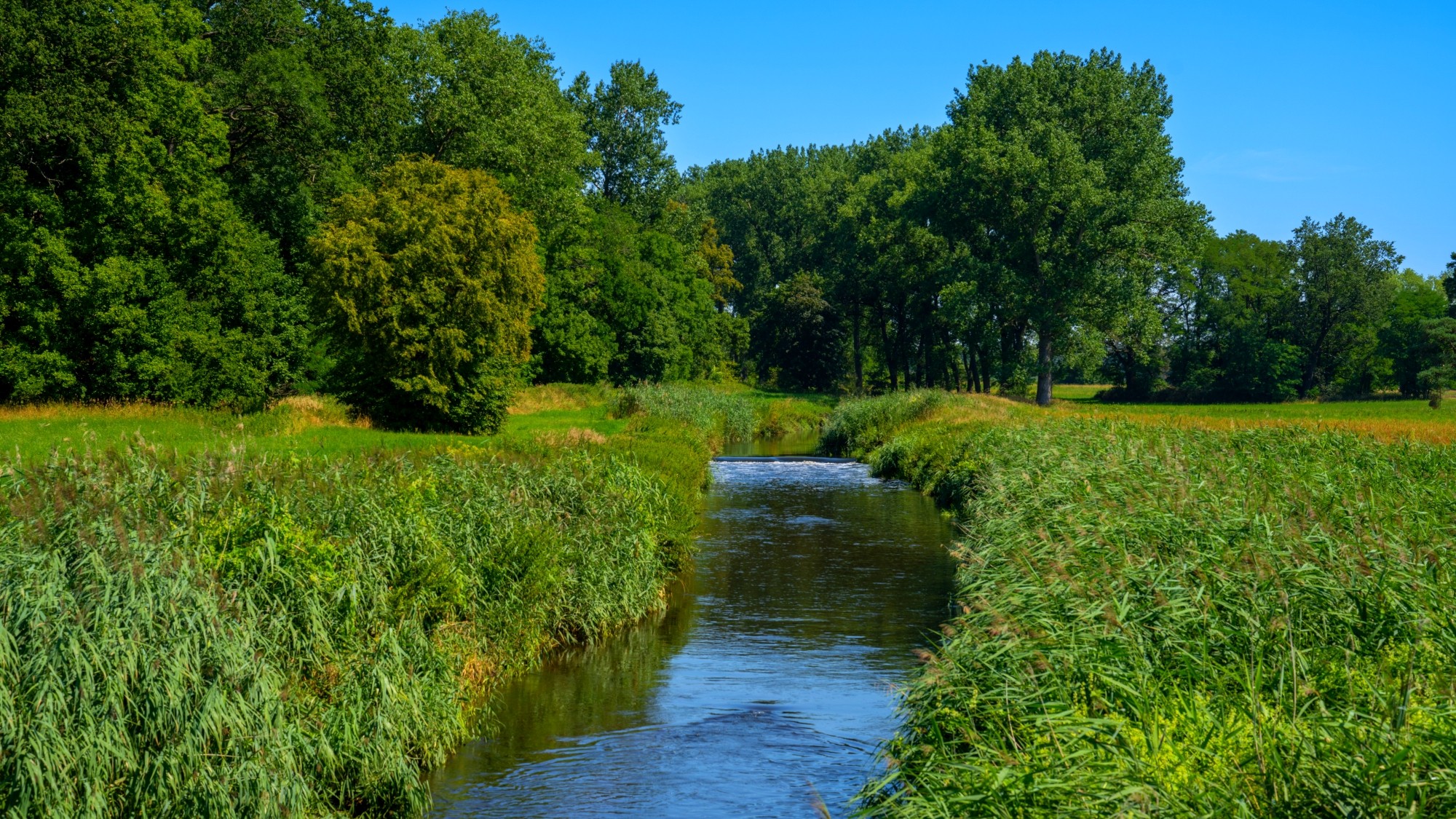 Wśród natury - zdjęcie 27