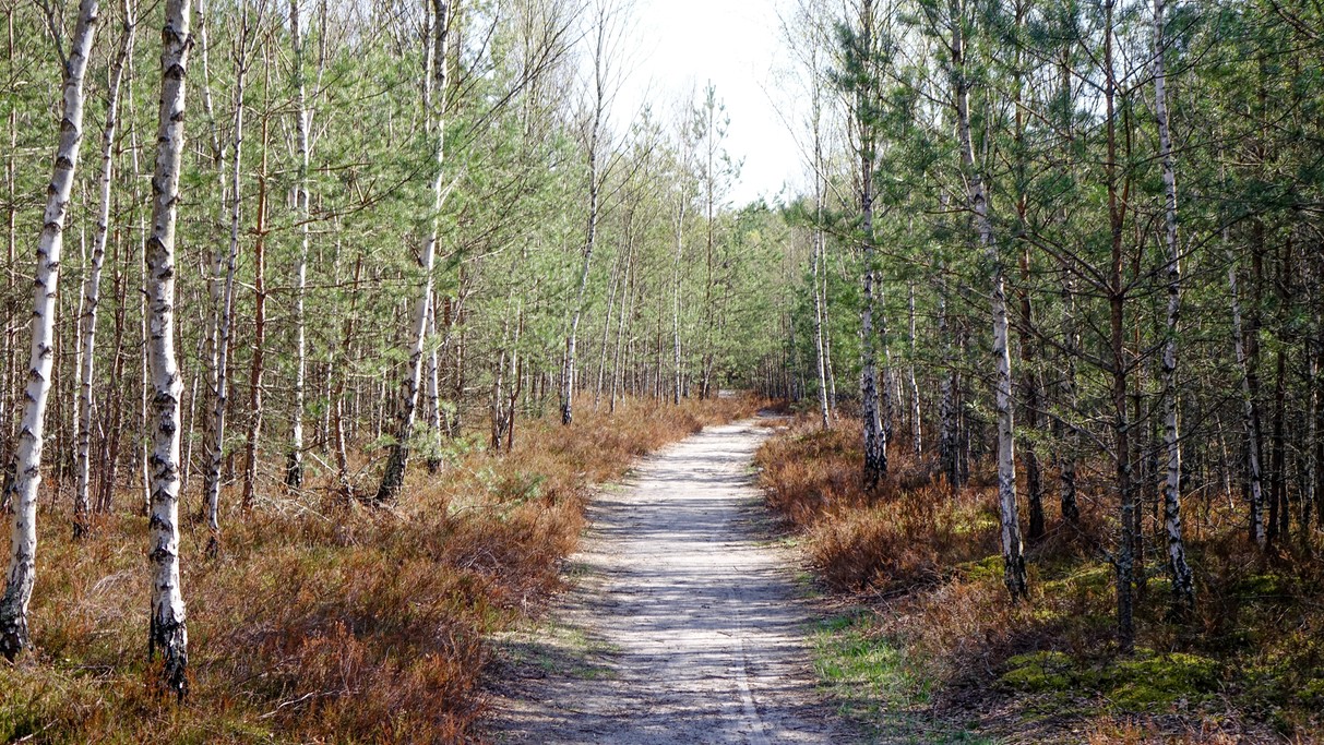 Kwiecień w obiektywie - zdjęcie 41