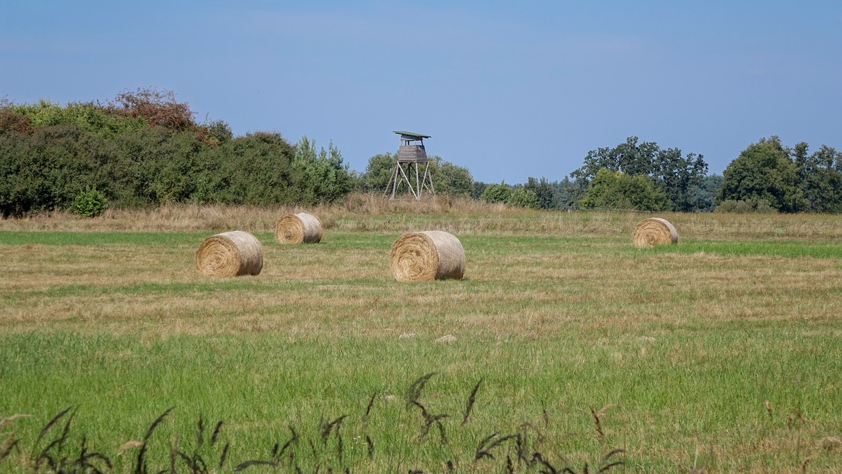Wrzesień w obiektywie - zdjęcie 23