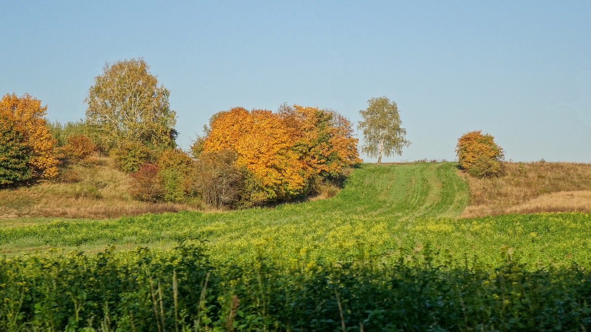 Barwy jesieni - zdjęcie 17