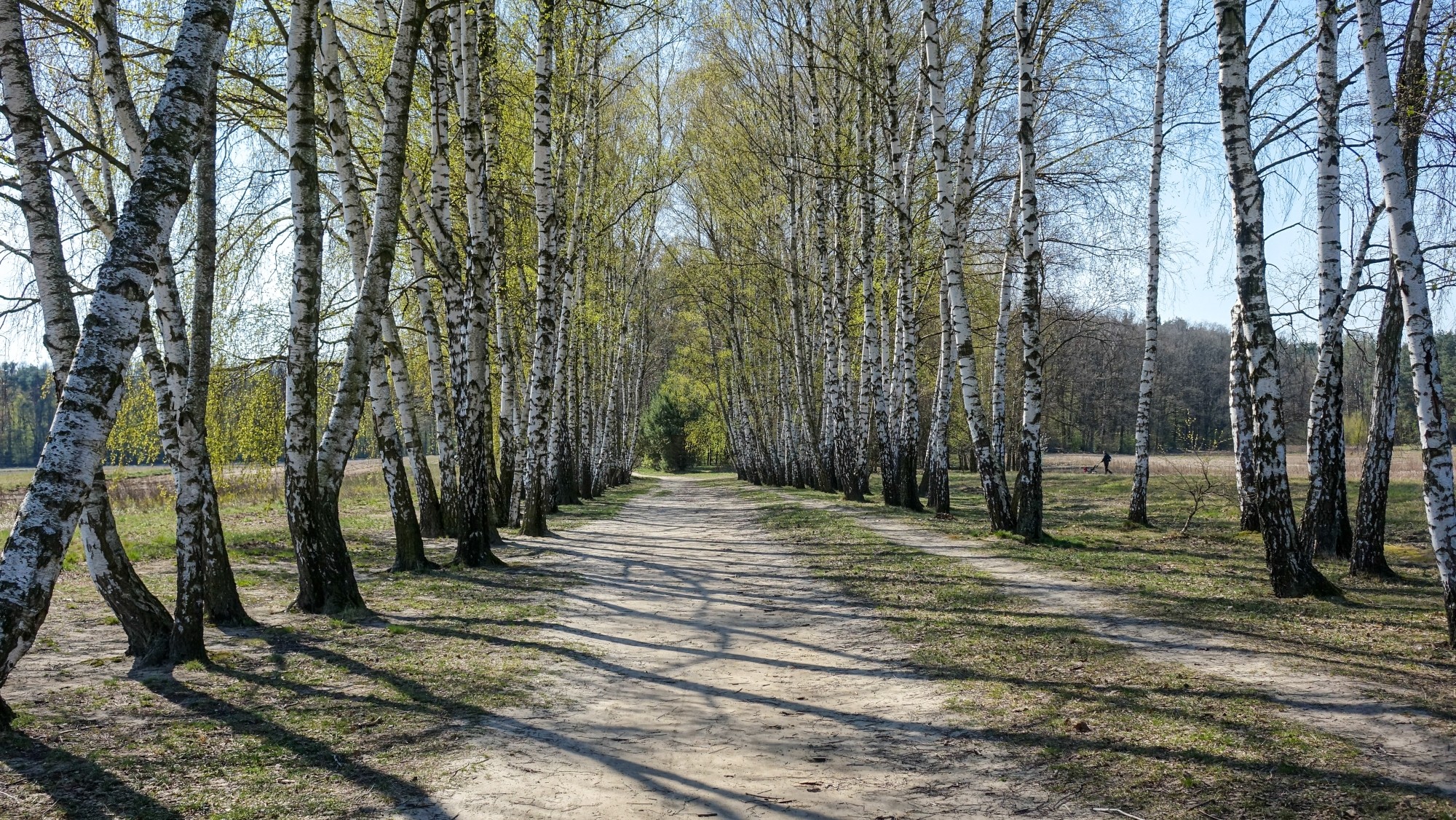 Kwiecień w obiektywie - zdjęcie 33