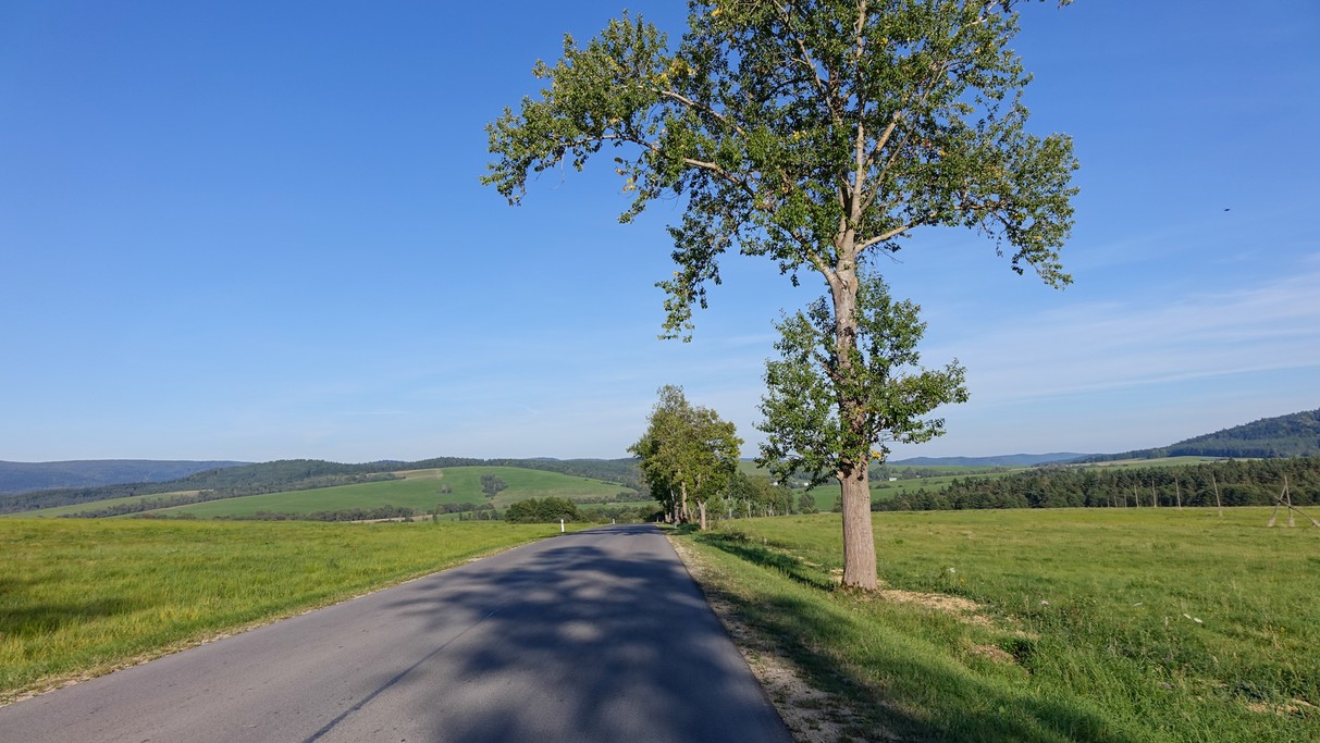 Wrzesień w obiektywie - zdjęcie 46