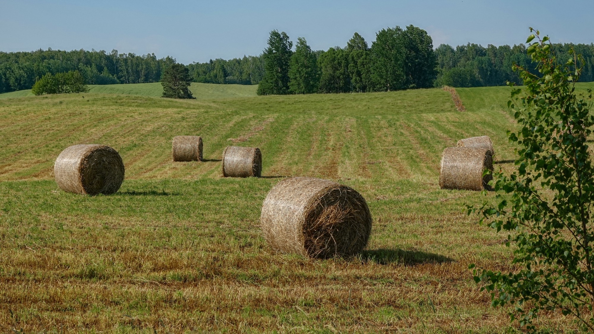 Letnie klimaty na łonie natury - zdjęcie 10