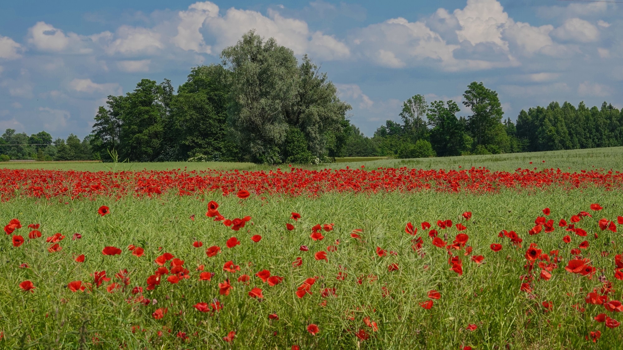 100 najpiękniejszych zdjęć 2021 roku - zdjęcie 12