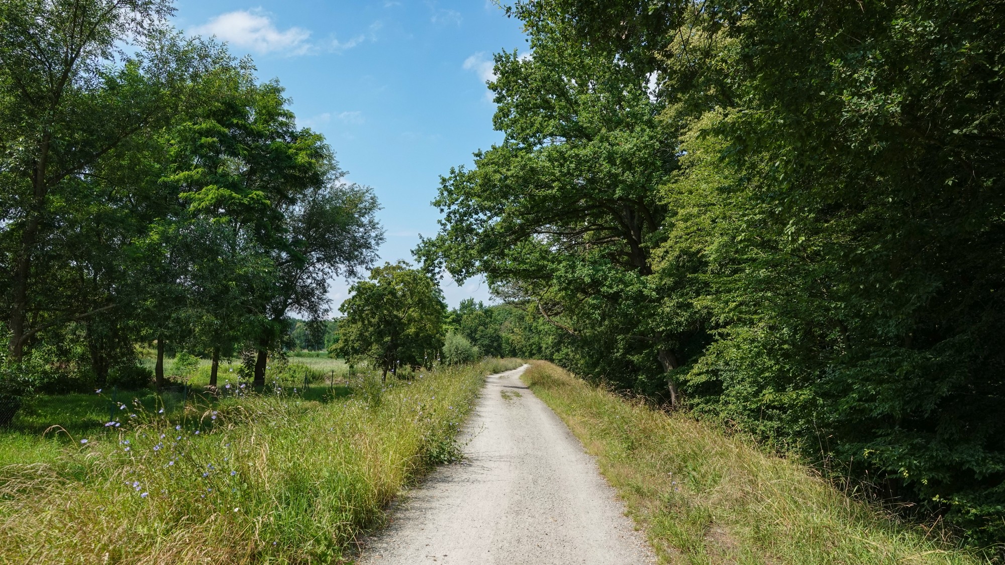 Podróż przez polską prowincję - zdjęcie 15