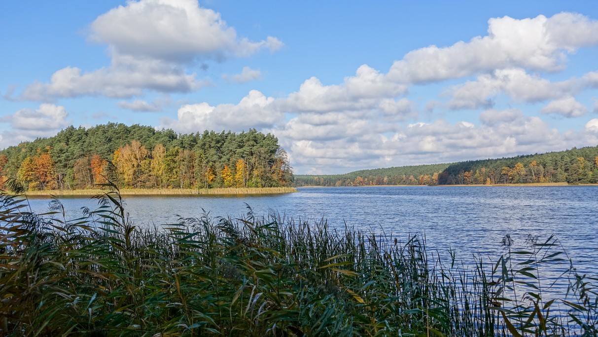 Nad morzem, jeziorami i rzekami - zdjęcie 50
