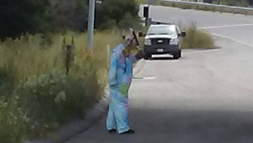 "Przerażający klaun" z maczetą straszył ludzi przy autostradzie