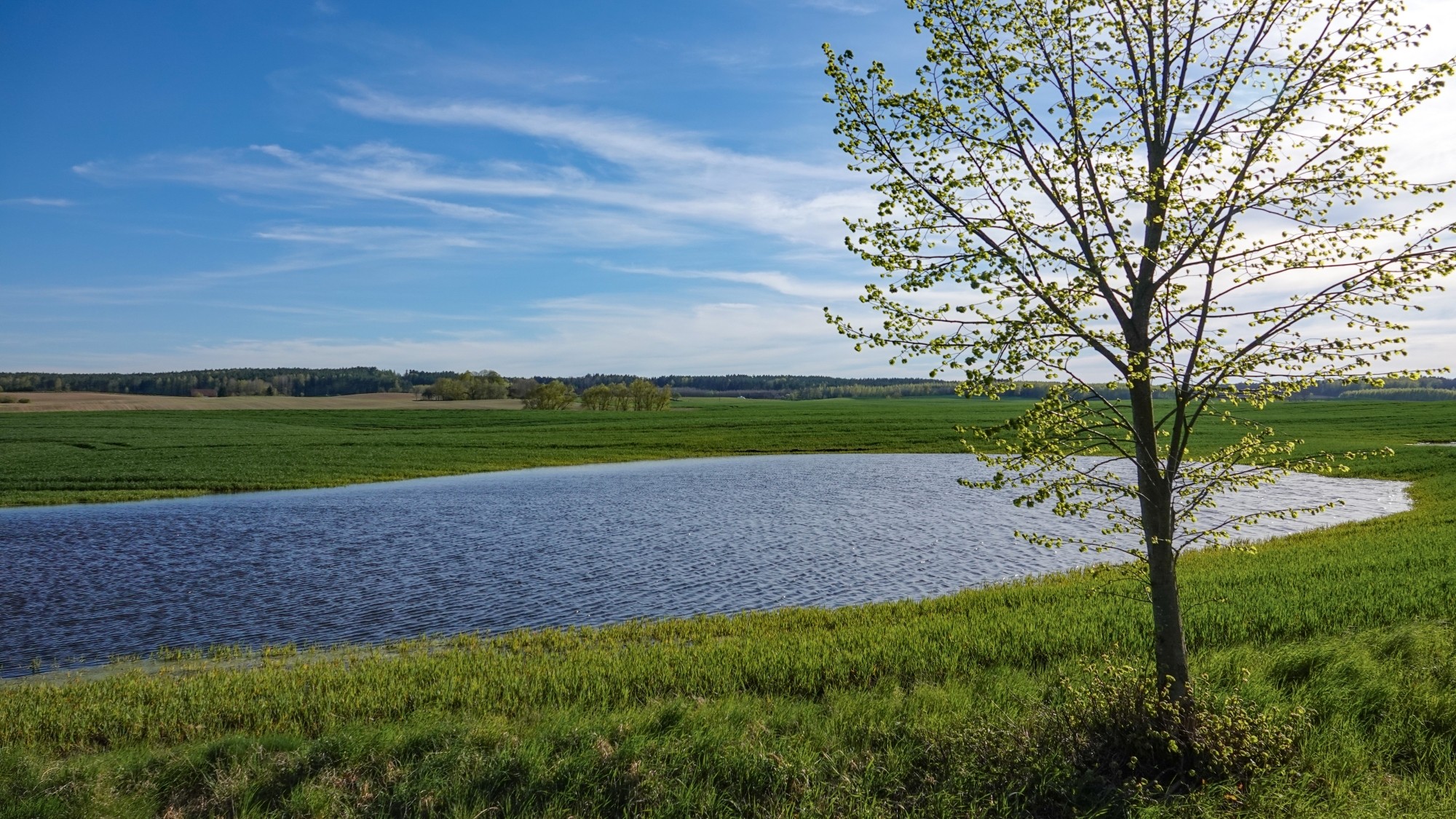 W maju jak w raju - zdjęcie 27