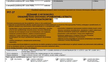 Ułatwienia w rozliczaniu PIT przez internet. Sejm przyjął poprawki