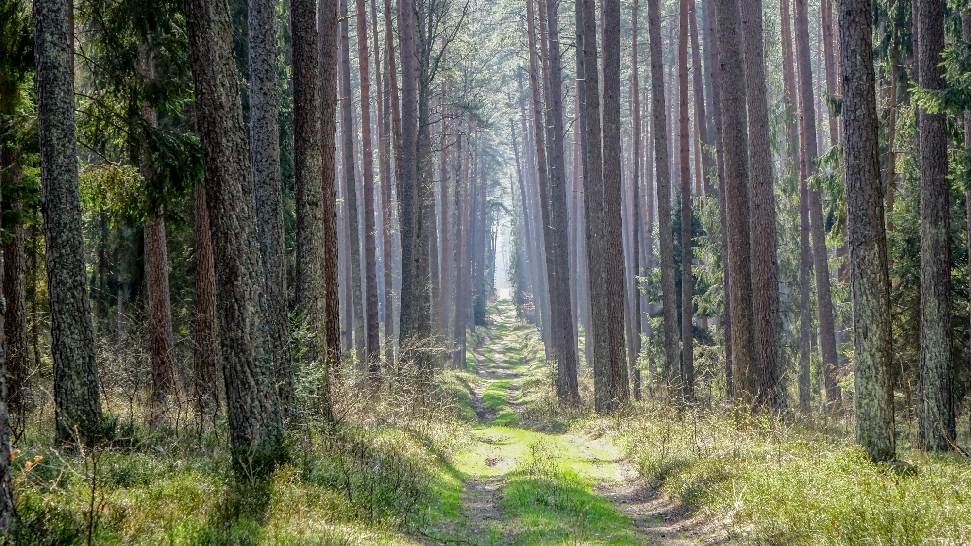 Odkryj piękno Polski w wakacje - zdjęcie 19