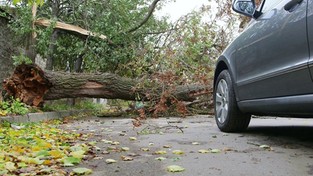 27.08.2020 09:00 Tragiczny bilans nawałnic nad Polską. Zginęła 1 osoba, a 2 zostały ranne. Wiele zniszczonych domów [FOTO]