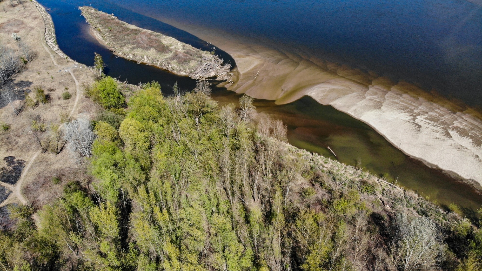 Susza na Wiśle - zdjęcie 17