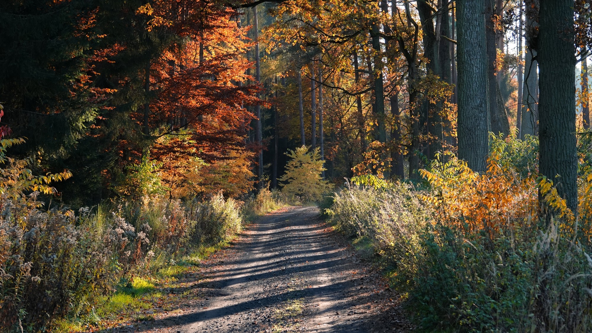 100 najpiękniejszych zdjęć 2021 roku - zdjęcie 59