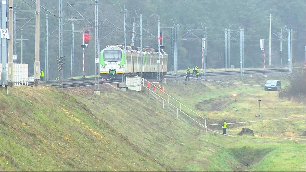 Pociąg pasażerski na torach kolejowych, w pobliżu pracują osoby w kamizelkach odblaskowych.