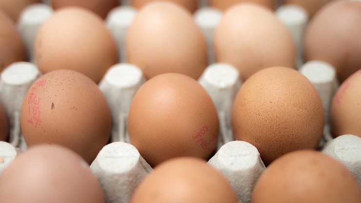 Rosną ceny jaj w Unii Europejskiej. Z każdym tygodniem o około 5 procent