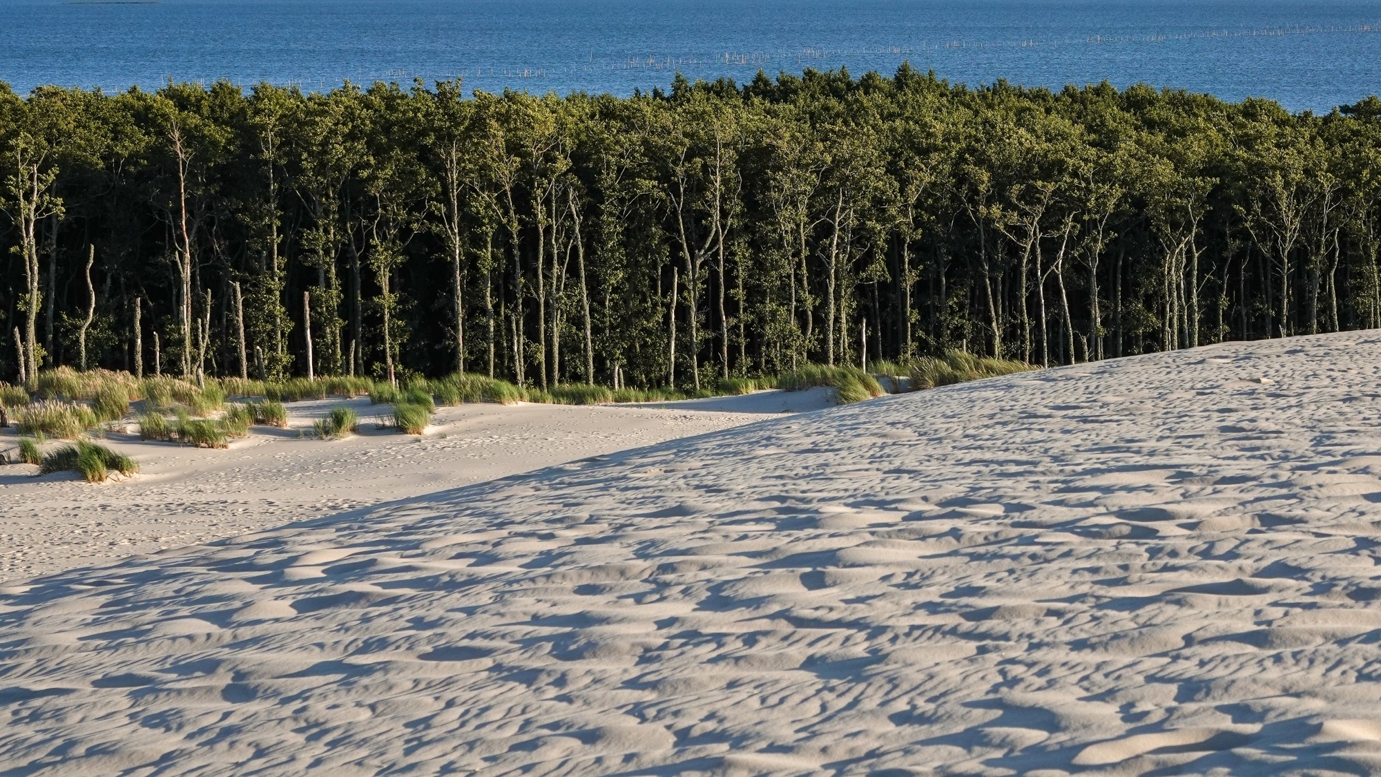 100 najpiękniejszych zdjęć 2020 roku - zdjęcie 23