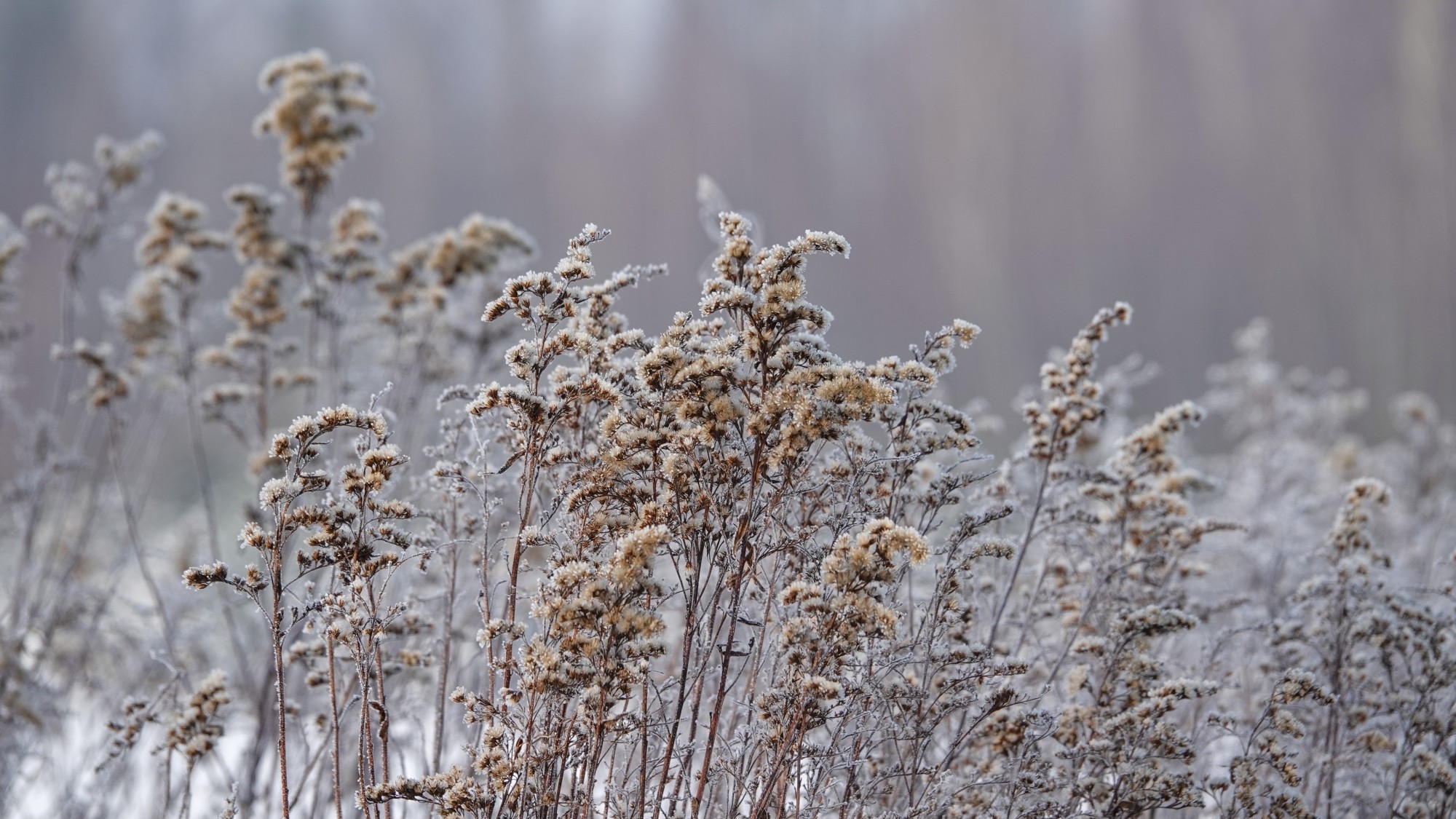 Na lodowym szlaku - zdjęcie 11