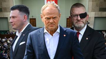 Nowy sondaż partyjny. Rosną notowania Konfederacji i Brauna