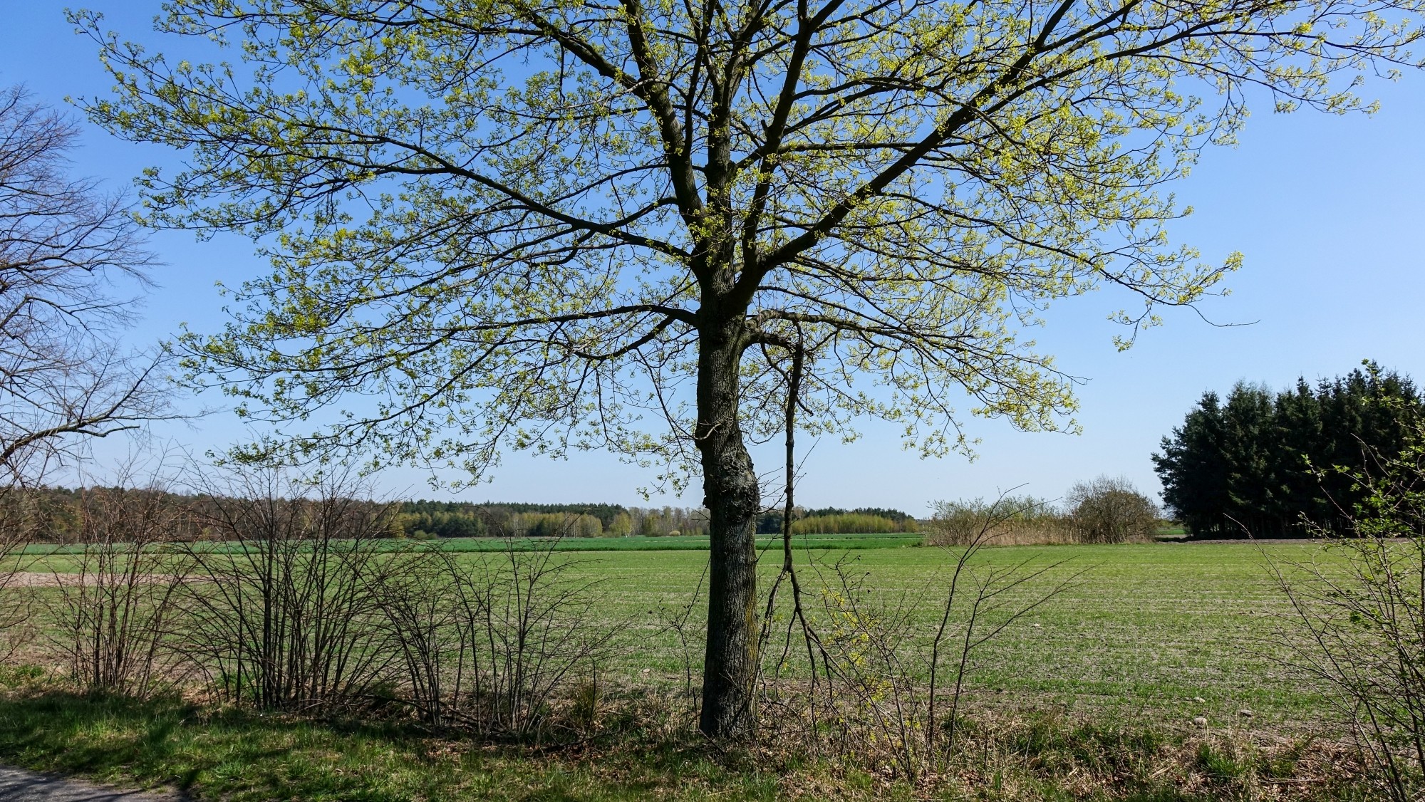 Podróż przez wiosenną Polskę - zdjęcie 43