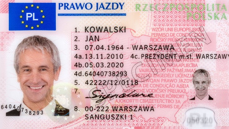 Plaga fałszywych polskich praw jazdy w Holandii