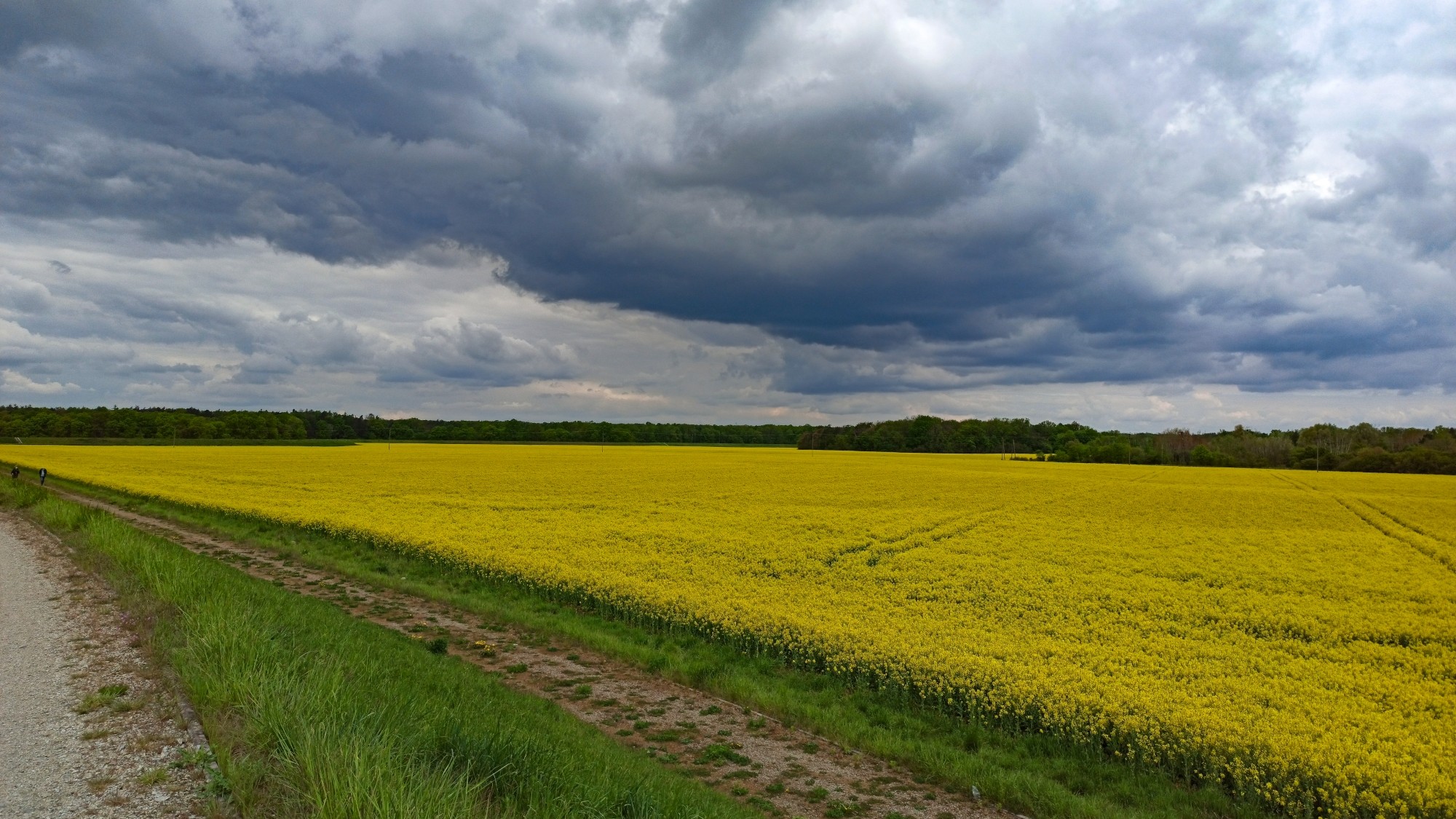 Całe piękno późnej wiosny - zdjęcie 34