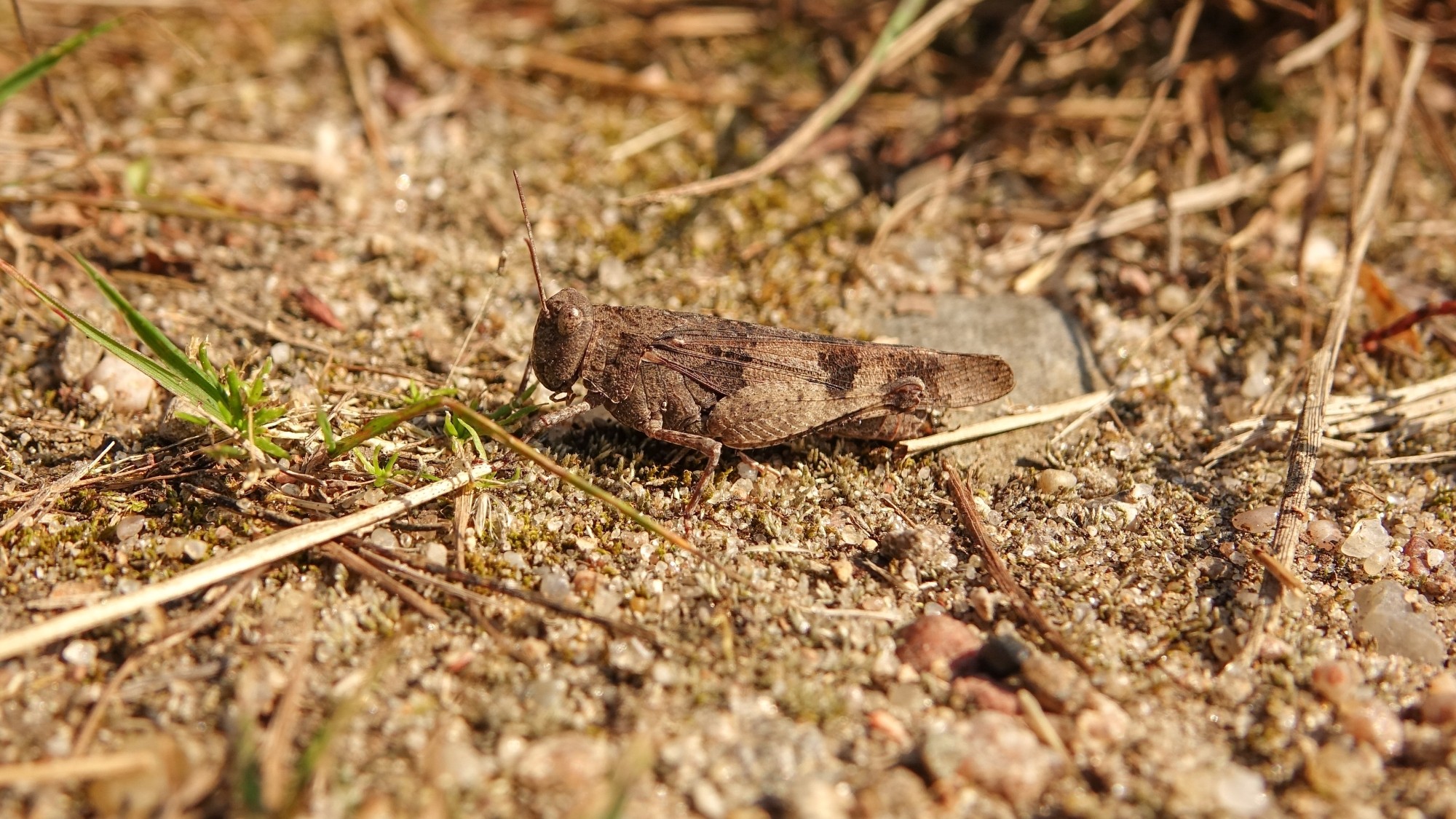 Z kamerą wśród zwierząt - zdjęcie 55