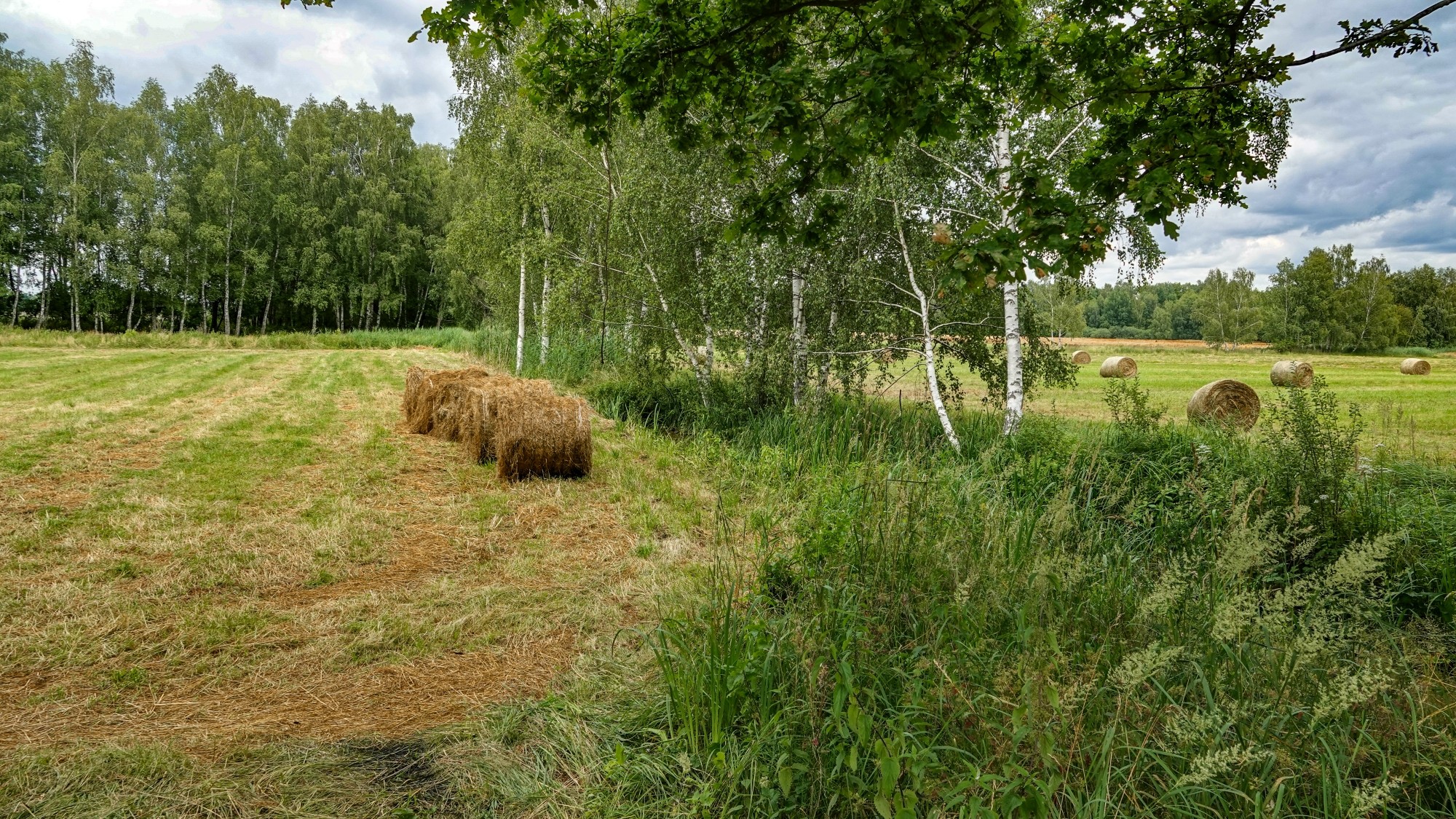 Podróż przez polską prowincję - zdjęcie 36