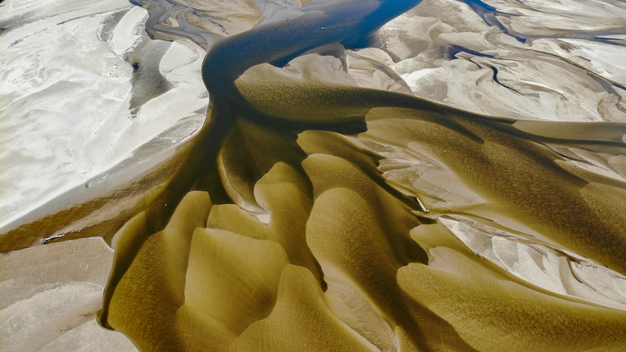 Susza na Wiśle - zdjęcie 21