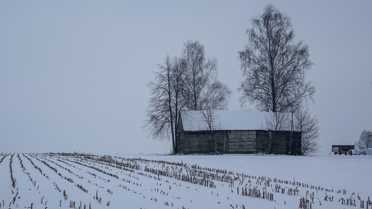 Styczeń w obiektywie - zdjęcie 15
