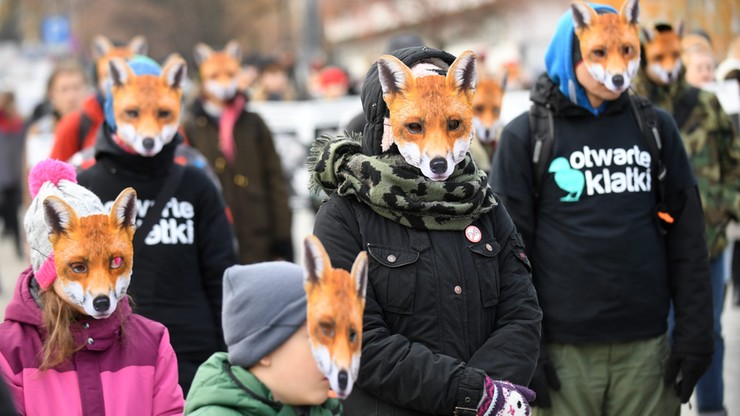 "Lisy" przed Sejmem. Protest przeciw hodowli zwierząt na futro