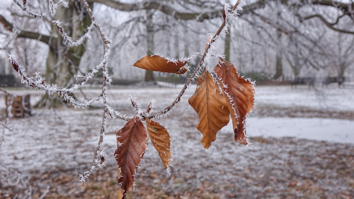 Minione zimy w Polsce - zdjęcie 36