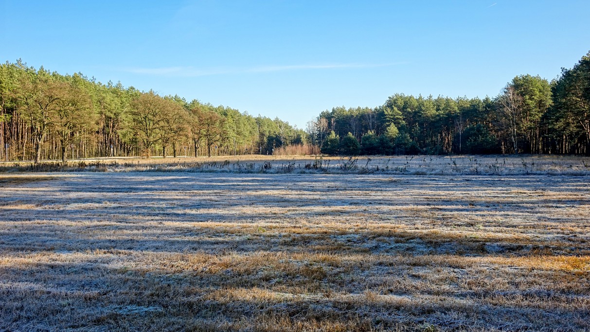 Listopad w obiektywie - zdjęcie 8