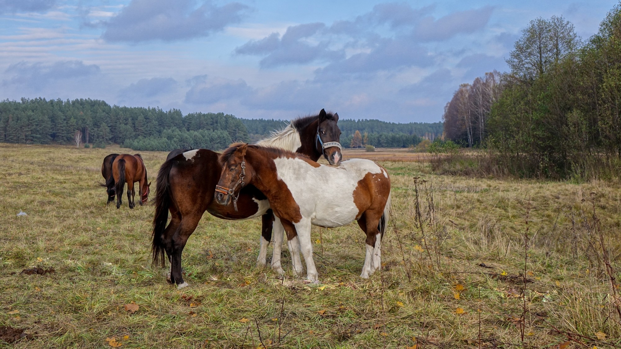 Z kamerą wśród zwierząt - zdjęcie 47