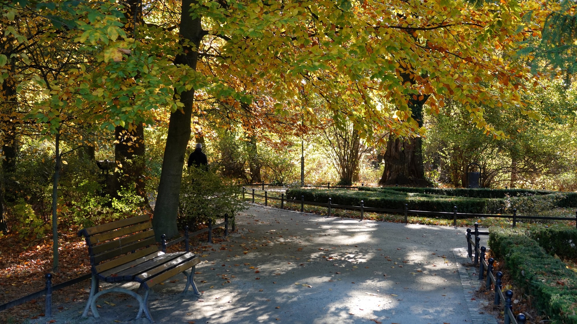 Jesienne klimaty - zdjęcie 49